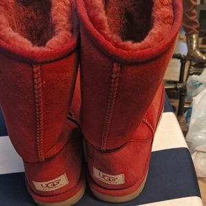 burgundy uggs